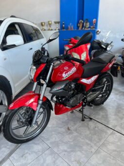 BENELLI TNT 15 2024 lleno