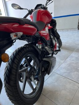 BENELLI TNT 15 2024 lleno