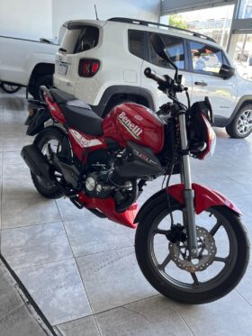 BENELLI TNT 15 2024