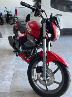 BENELLI TNT 15 2024 lleno