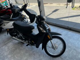 BRAVA NEVADA 110 2025