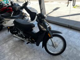 BRAVA NEVADA 110 2025