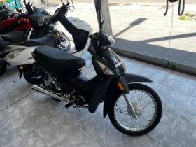 BRAVA NEVADA 110 2025