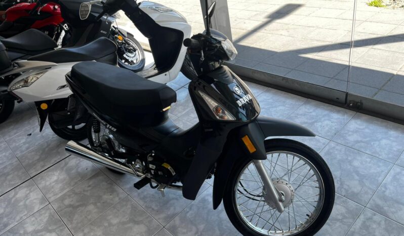 BRAVA NEVADA 110 2025 lleno