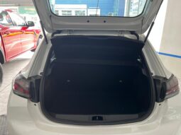 208 Active 2021 lleno