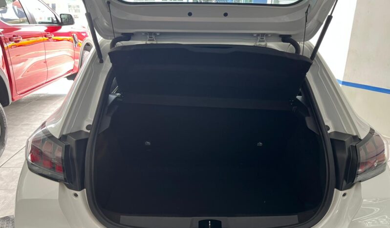 208 Active 2021 lleno