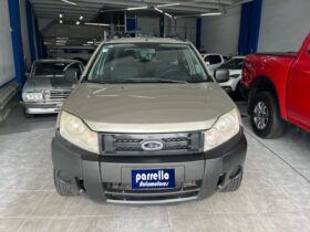 EcoSport Xl Plus GNC 2011