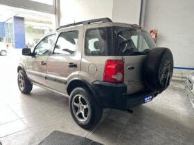 EcoSport Xl Plus GNC 2011