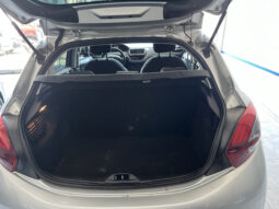 Peugeot 208 Active 1.5 2016 lleno